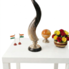 Horn style vases
