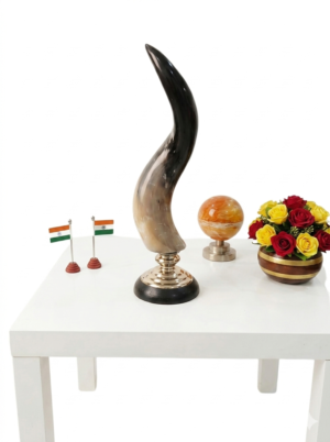 Horn style vases